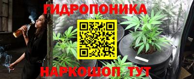 спайс Кулебаки