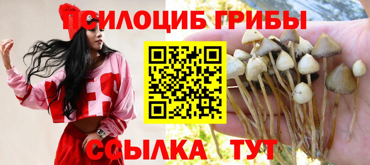 Волжск  Галлюциногенные грибы Cubensis  Галлюциногенные грибы мухоморы  Вход с VPN 